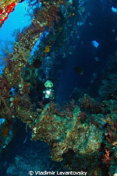 Inside the wreck of SS Carnatic. Canon XSi with Tokina 10... by Vladimir Levantovsky 